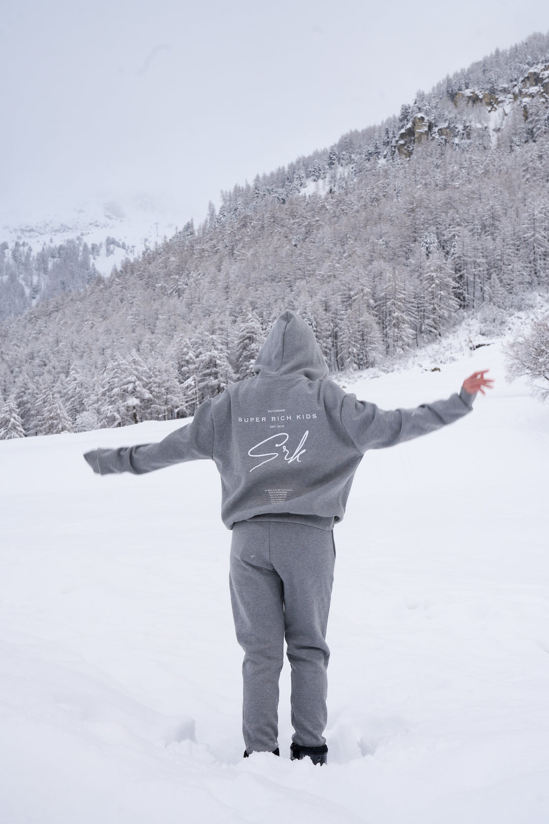 Hoodie Grey Signature